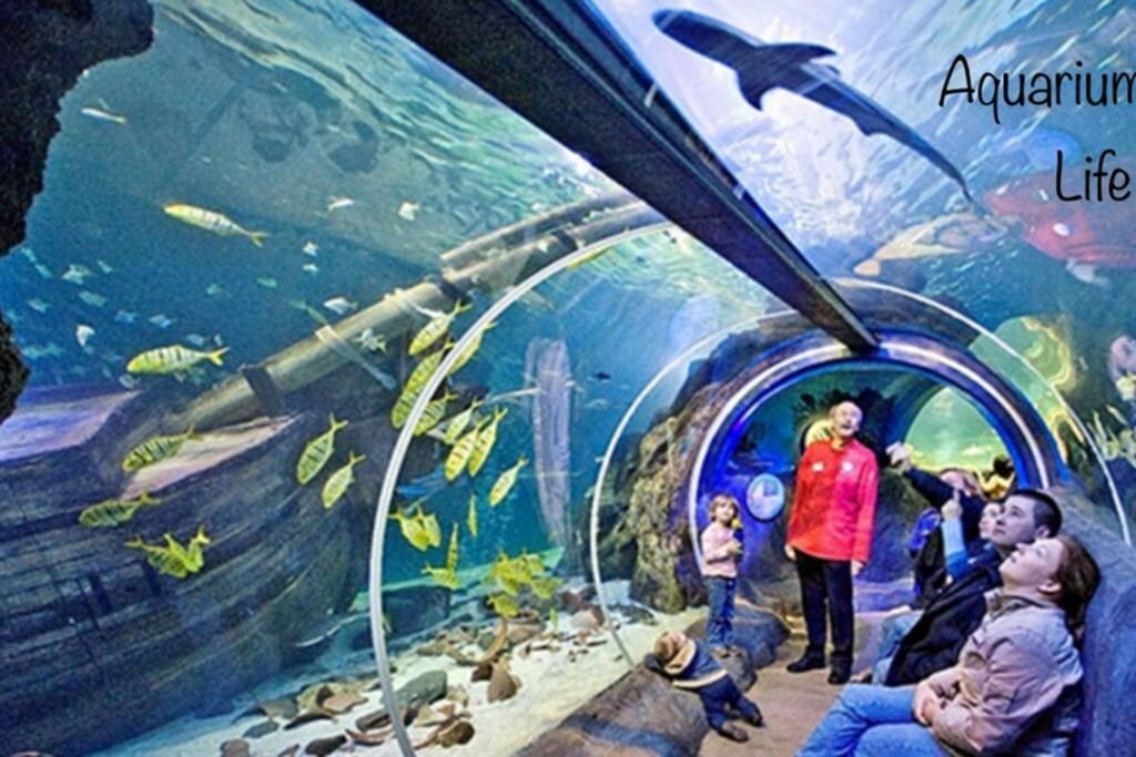 Studio 2 Adultes 2 Enfants Parcs Disneyland Paris มองต์เตฮวา ภายนอก รูปภาพ